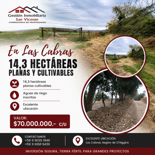 Parcela Las Cabras