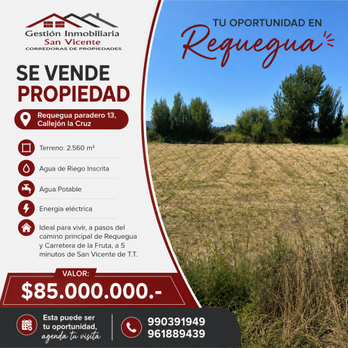 Parcela en Venta Requegua